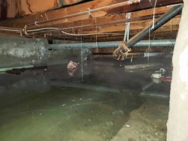 Best Carpet water damage restoration  in Tyrone, GA