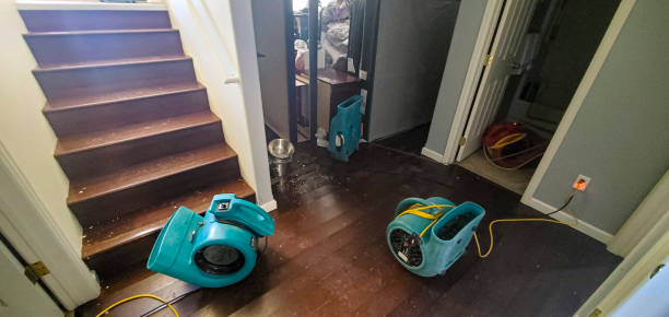 Best Flood damage cleanup  in Tyrone, GA