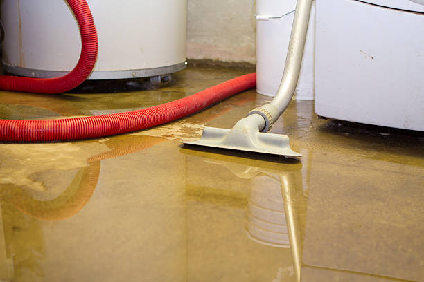 Best Water damage restoration cost  in Tyrone, GA