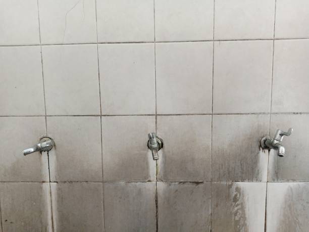 Best 24/7 water damage repair  in Tyrone, GA