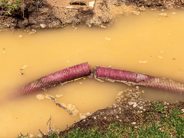 Best Flood damage cleanup  in Tyrone, GA
