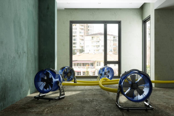 Best 24-hour water damage restoration  in Tyrone, GA