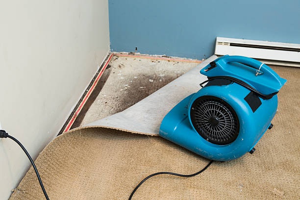  Tyrone, GA Water damage restoration Pros